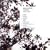 Oneiric