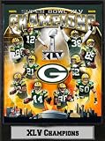 Green Bay Packers Super Bowl XLV Champions 9