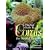 A Practical Guide to Corals for the Reef Aquarium