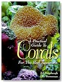 A Practical Guide to Corals for the Reef Aquarium