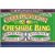 Cheshire Ring Canal Companion: Pearson Canal Companion (Pearson's Canal Companions)