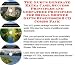 Book The Mega Make An Extra Income, Marketing and Inner Game for Bridal Shower Gifts On-line Businesses 3 CD Course