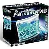 World alive - Vivarium fourmis gel nutritif, antworks - WA9010par World alive