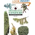 Identifying Ornamental Conifers: The New Compact Study Guide and Identifier (Identifying Guide Series)
