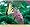 Great Flowering Landscape Shrubs