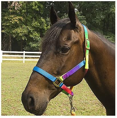 Deluxe Rainbow Nylon Halter Medium