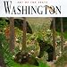 Book Art of the State: Washington (Art of the State)