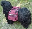 Dog Backpack/Harness Deluxe 2 in 1 Medium Red 9.5"x 7"x 6"