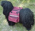 Dog Backpack/Harness Deluxe 2 in 1 Large Red