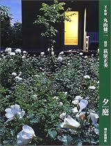 夕庭
