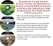 Massive Cash Flow Pack with Marketing, Godfather Principles and Sales Models for Alkaline Water Biz 3 CD Package