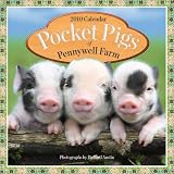 Pocket Pigs of Pennywell Farm Calendar 2010
