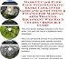Search : Massive Cash Flow Pack with Generate Extra Cash, Inner Game and Accounting & Finance for Martial Arts Training Equipment Web Biz 3 Course + Resource Guide