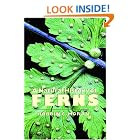 A Natural History of Ferns by Robbin C. Moran