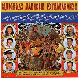 Bluegrass Mandolin Extravaganza