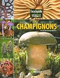 Encyclop�die visuelle des champignons