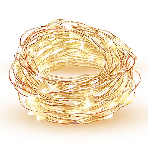 HOPDAY LED String Lights, Copper Wire Lights For Seasonal Decorative Gardens Christmas Holiday Wedding Parties Home Bedroom -Warm White (100 leds 33 ft)
