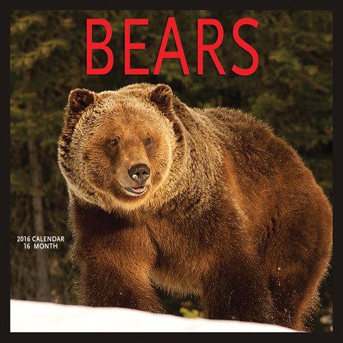 Bears 2016 Square 12x12 Wyman