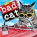 Bad Cat Mini Wall Calendar 2017