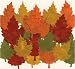 Decorative Die Cut Paper Accents- Pack of 20 Maple Leaves in Harvest Colors