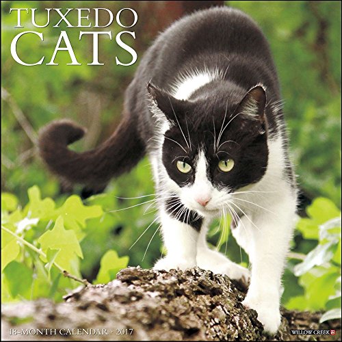 Tuxedo Cats 2017 Wall Calendar