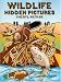 Wildlife Hidden Pictures (Dover Children's Activity Books) by Cheryl Nathan