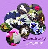 Abundance Series: Sanctuary