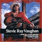 Collections by  Stevie Ray Vaughan 