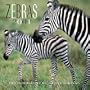 Zebras 2001 Calendar