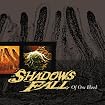 Of One Blood