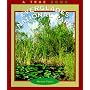 Everglades National Park (True Books: National Parks)
