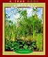 Everglades National Park (True Books: National Parks)