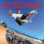 Skateboarding 2001 Calendar