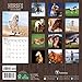 2016 Horses Mini Calendar