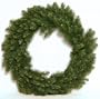 Good Tidings 4778007 Cape May Fir Artificial Prelit Christmas Wreath 24 Inches in Diameter with 50 Clear Lights