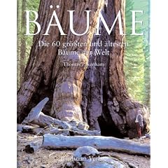 B�ume. Die 60 gr�ssten und �ltesten B�ume der Welt