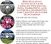 The Guerilla Marketing, Building Effective Lead Capture Web Pages, SIVA Marketing for Car CD Changer