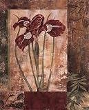 (12x16) Maria Donovan Jeweled Iris I Art Print Poster
