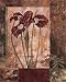 (12x16) Maria Donovan Jeweled Iris I Art Print Poster