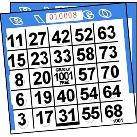Punch-out Bingo Cards (250 Per Pack)