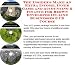 Search : The Insider's Make An Extra Income, Inner Game and Accounting & Finance for Brown Envelopes On-line Businesses 3 CD Course