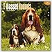 Basset Hounds 2016 Calendar