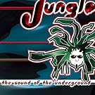 Jungle: Sound of the Underground