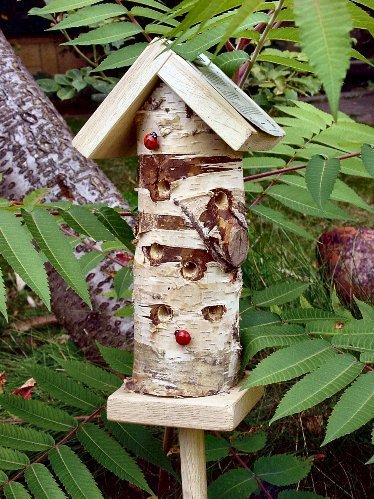 Childrens Toyshop  Outdoor Living : LADYBIRD INSECT TOWER