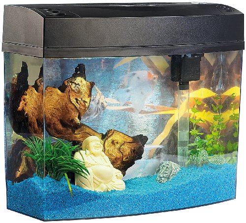 http://ecx.images-amazon.com/images/I/61FH-14kdGL.jpg http://ecx.images-amazon.com/images/I/61FH-14kdGL.jpg