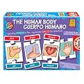 The Human Body Game in Spanish and English