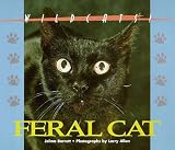 Feral Cat (Wildcats of North America)