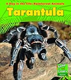 Tarantula
