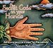 Book The Secret Code on Your Hands: An Illustrated Guide to Palmistry