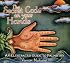 The Secret Code on Your Hands: An Illustrated Guide to Palmistry